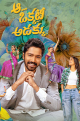 Movie Aa Okkati Adakku Streaming on Aha